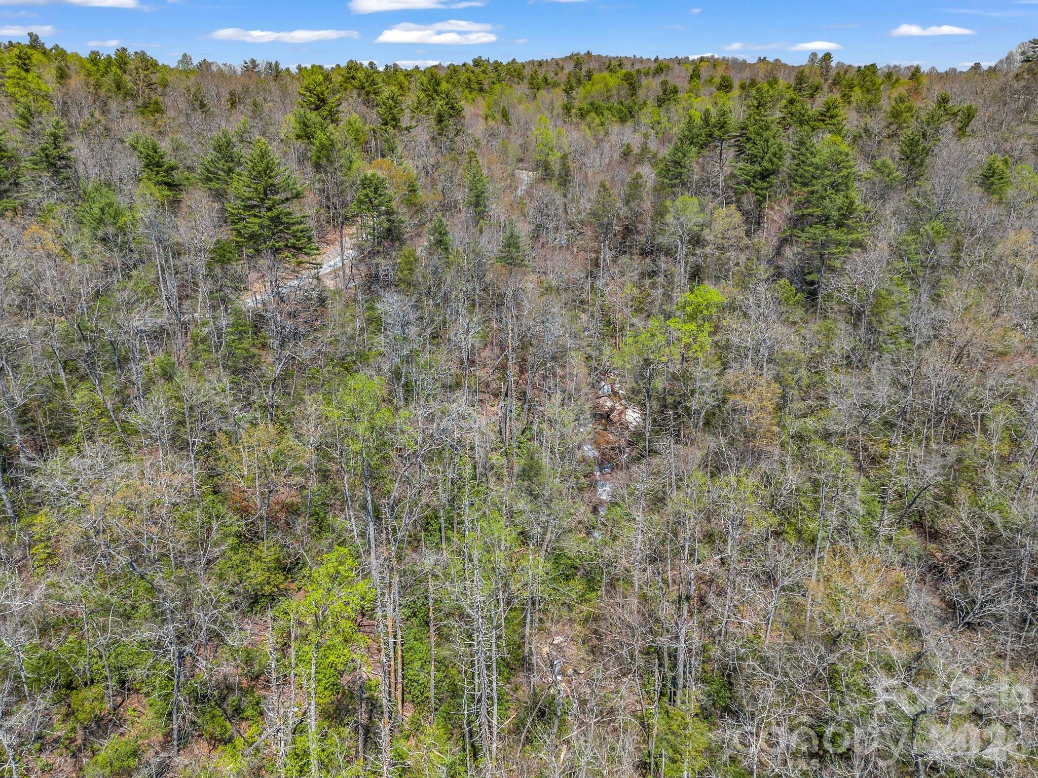 999 Bulling Creek Road Penrose, NC 28766 - Photo 36 of 37