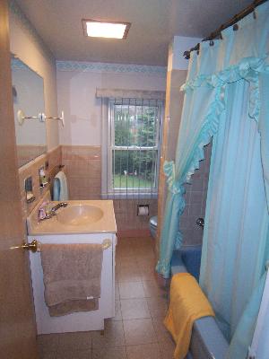 150 North Wolf Road Des Plaines, IL 60016 - Photo 11 of 16 a spacious bathroom with sink and bathtub