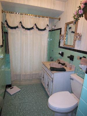 150 North Wolf Road Des Plaines, IL 60016 - Photo 12 of 16 a bathroom with a sink a toilet and shower