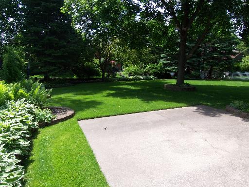 150 North Wolf Road Des Plaines, IL 60016 - Photo 16 of 16 a view of a park with plants and trees