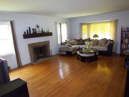 150 North Wolf Road Des Plaines, IL 60016 - Photo 4 of 16 a living room with furniture and a fireplace