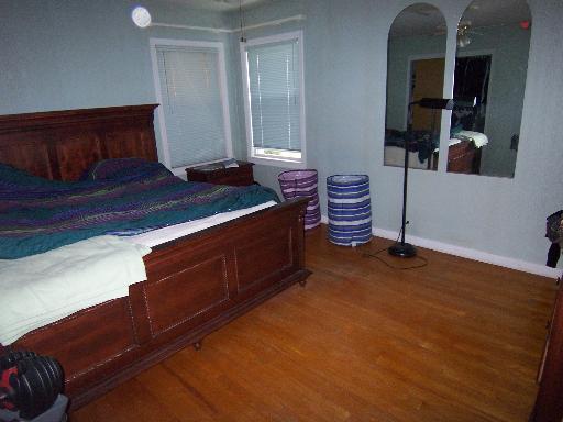 150 North Wolf Road Des Plaines, IL 60016 - Photo 10 of 16 a bedroom with a bed and a potted plant