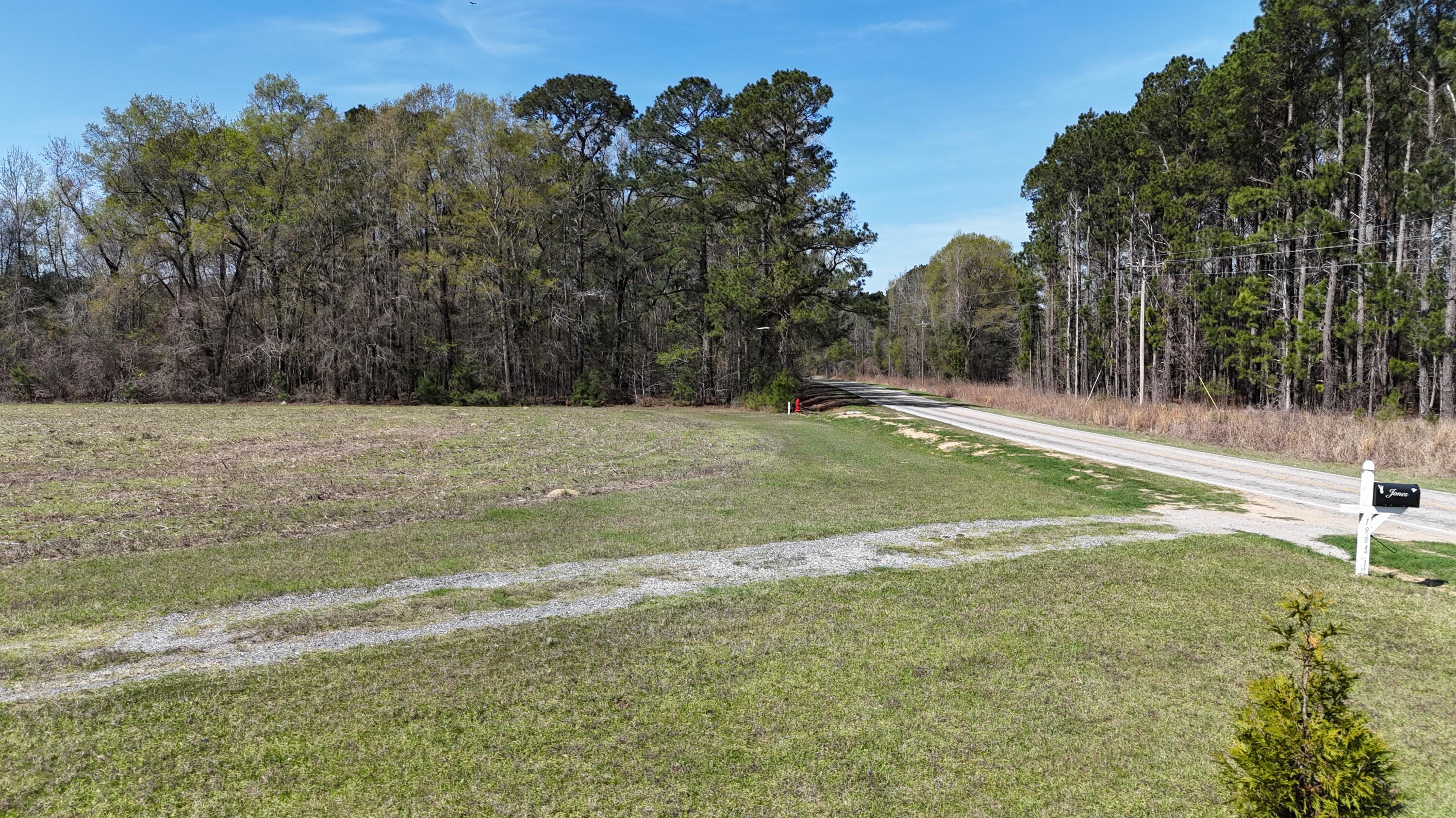 1995 Sam Nexsen Road Summerton, SC 29148 - Photo 47 of 110