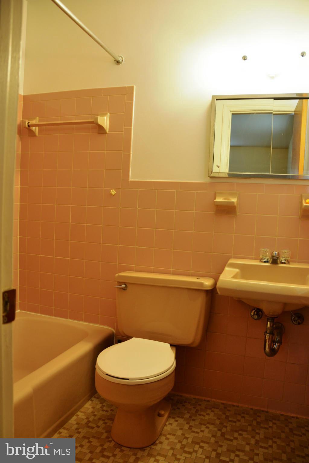 4700 Henderson Road Temple Hills, MD 20748 - Photo 10 of 20 Bath (Master)