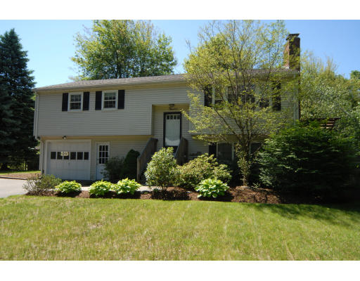 a view of a garden with plants