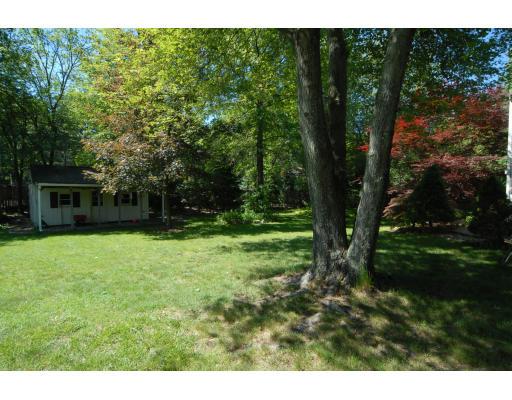 12 Tamarack Road Natick, MA 01760 - Photo 22 of 26 a view of backyard with green space