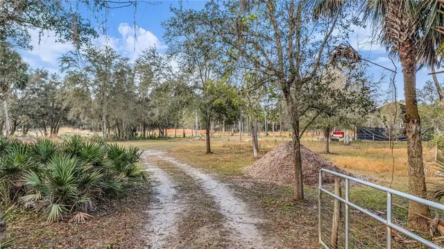 a view of a park with iron fence