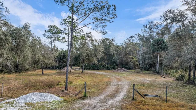 a backyard of a house with lots of green space