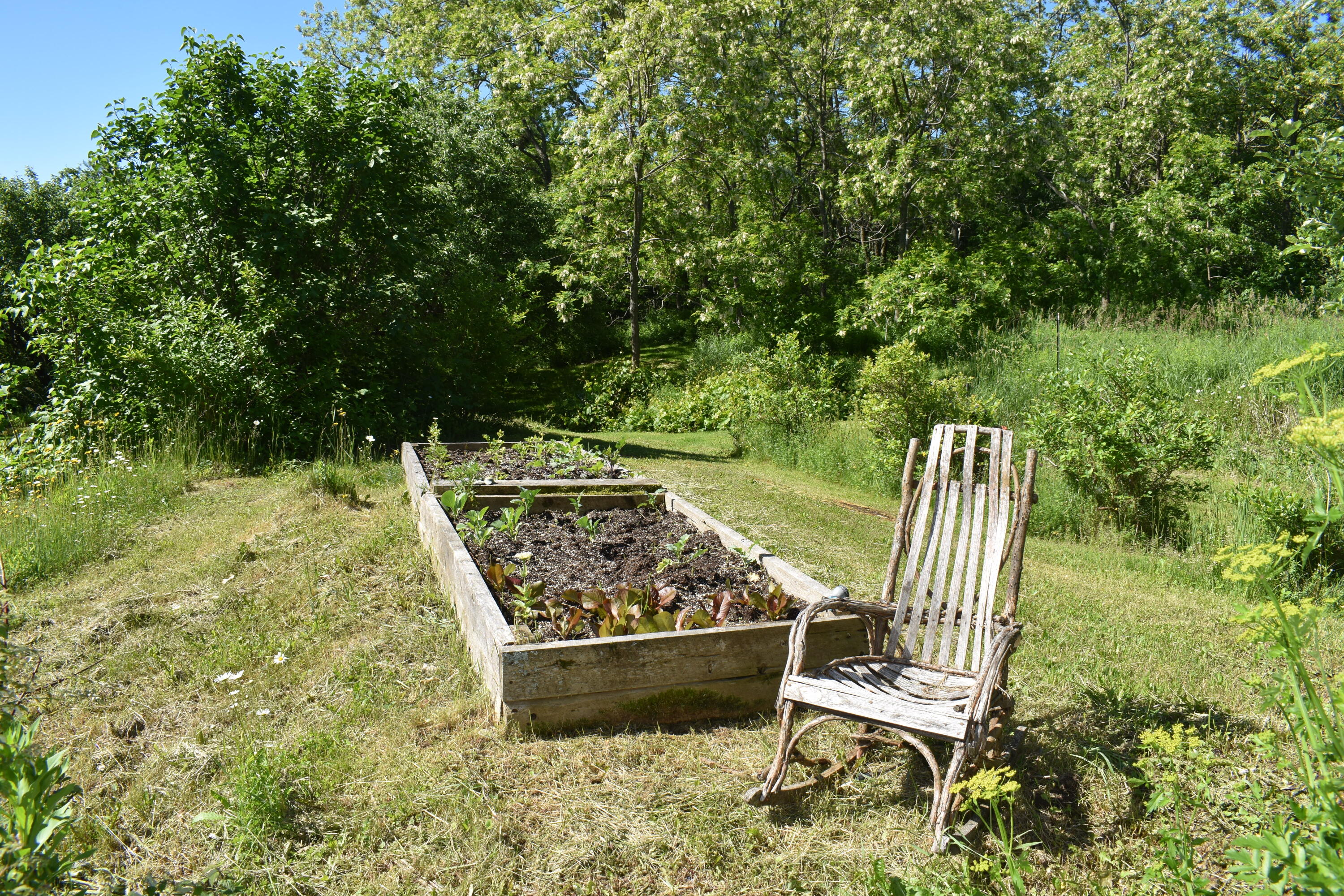 990 Tar Ridge Road Springfield, ME 04487 - Photo 5 of 56 DSC_0234