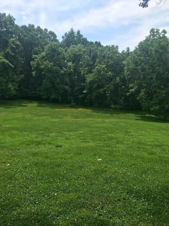 867 Lead Mine Valley Road Southwest Cleveland, TN 37311 - Photo 3 of 6 Gallery Image 3