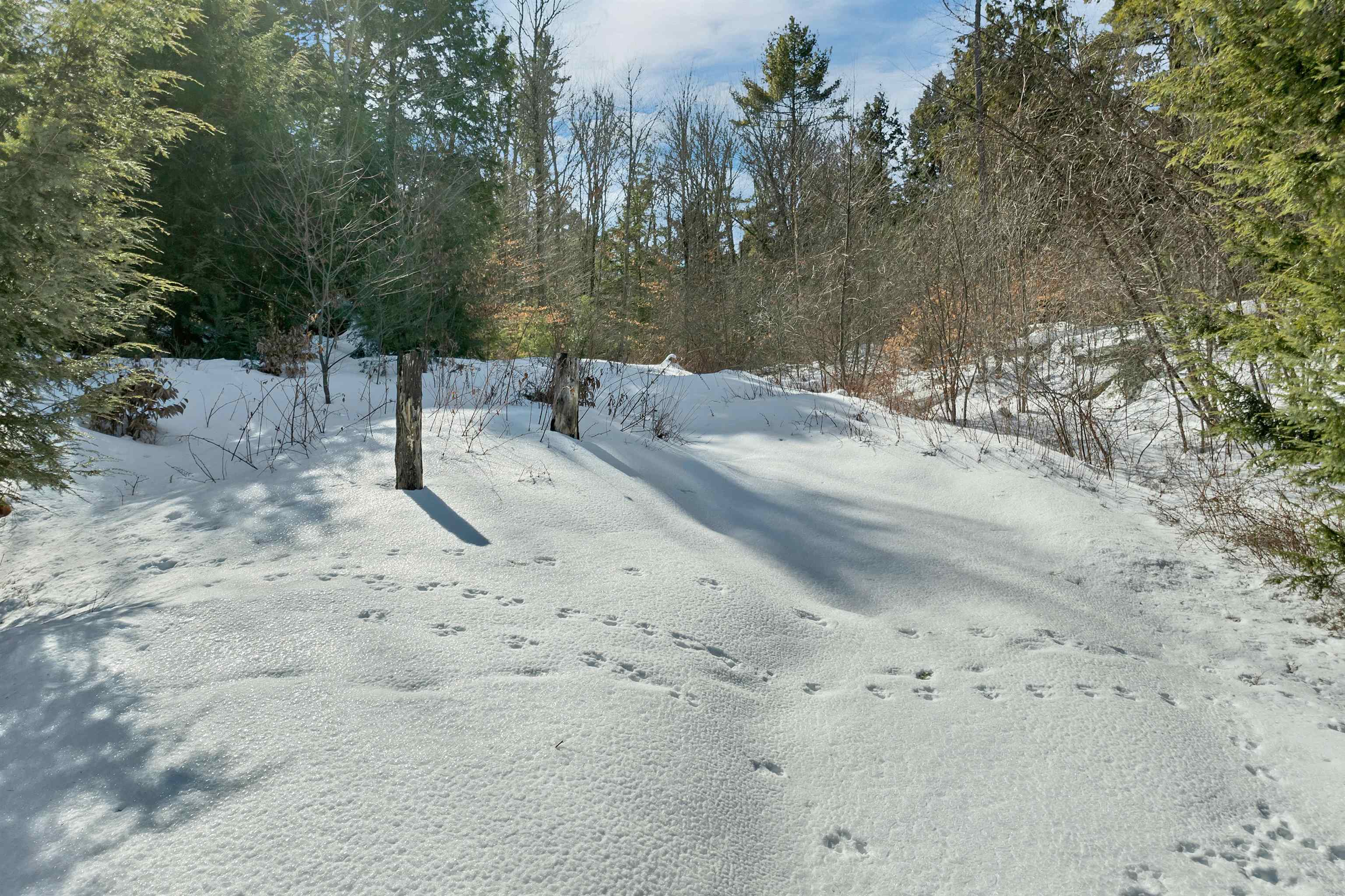 23 Pappas Road Claremont, NH 03743 - Photo 37 of 48