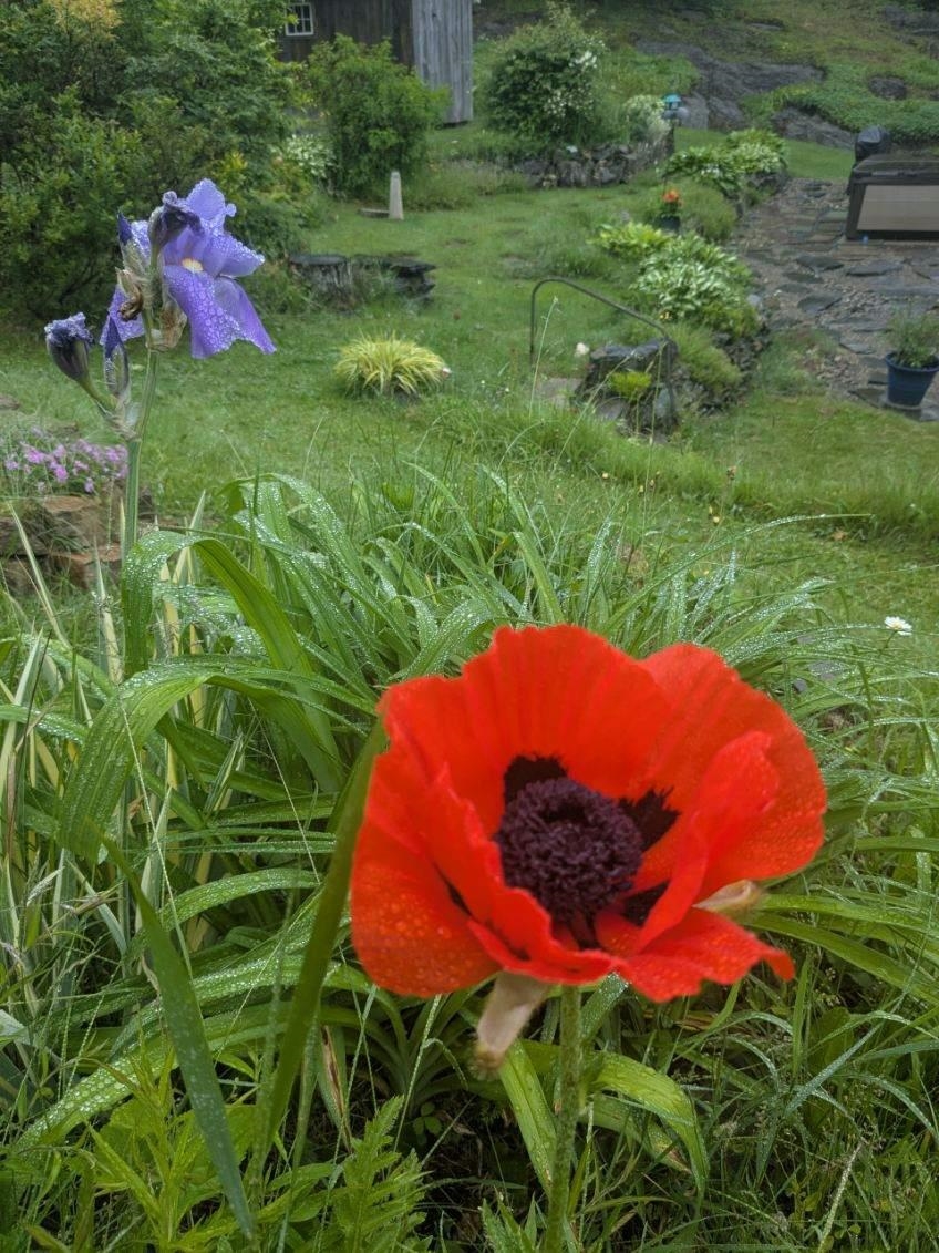 23 Pappas Road Claremont, NH 03743 - Photo 45 of 48