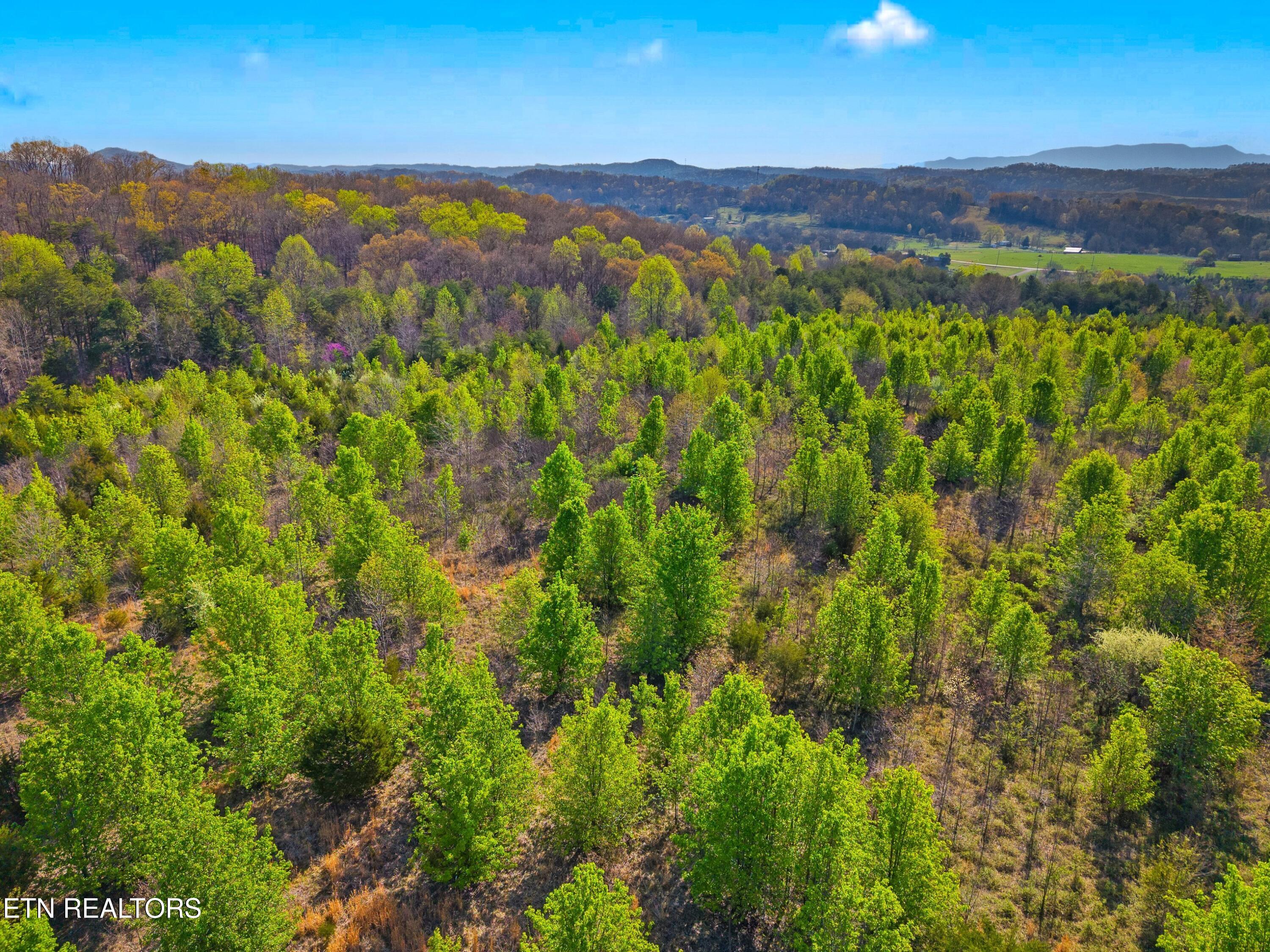 1 West Dumplin Valley Road New Market, TN 37820 - Photo 5 of 25 007-DUMPLINVALLEYRD