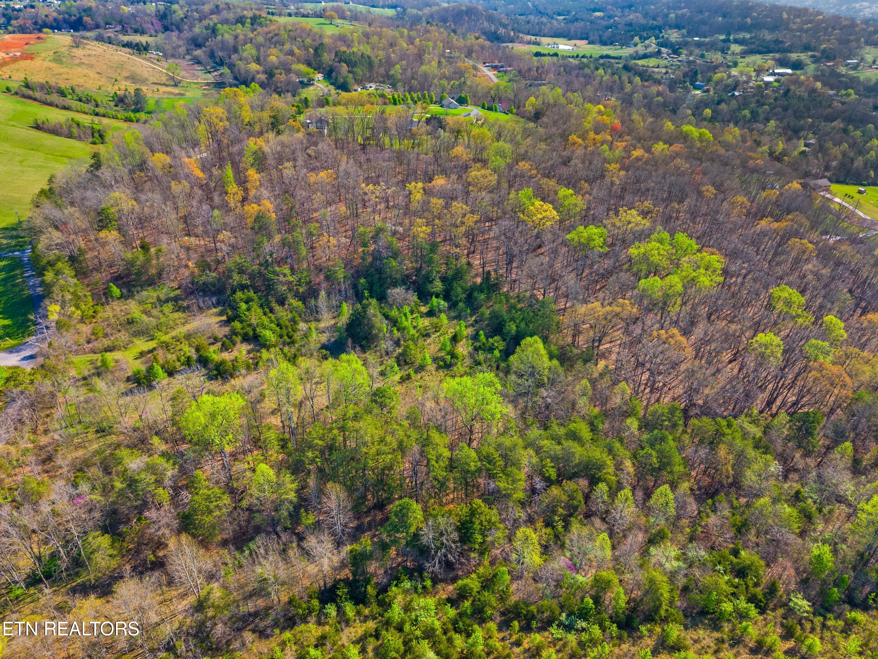 1 West Dumplin Valley Road New Market, TN 37820 - Photo 6 of 25 008-DUMPLINVALLEYRD