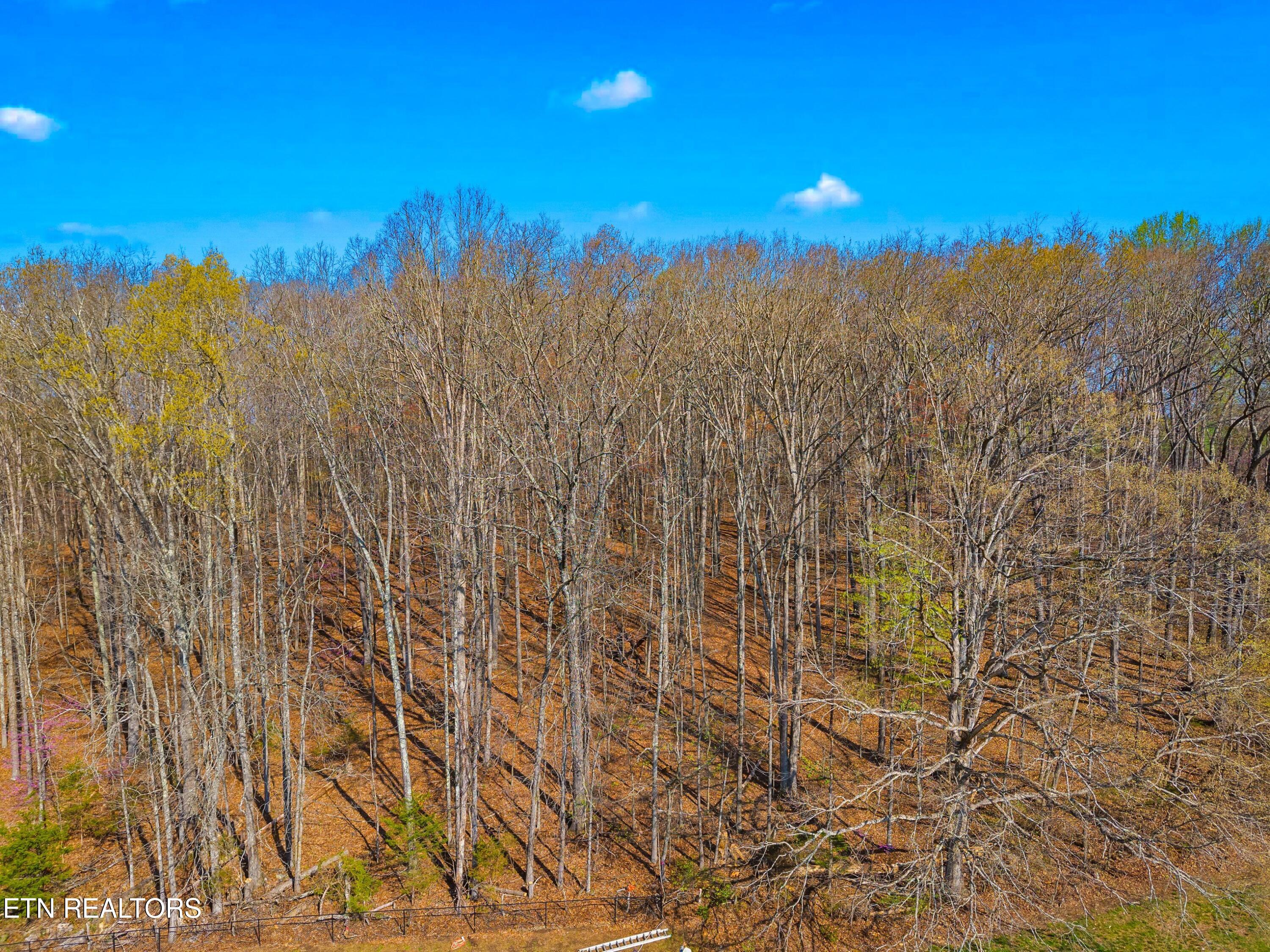 1 West Dumplin Valley Road New Market, TN 37820 - Photo 7 of 25 009-DUMPLINVALLEYR