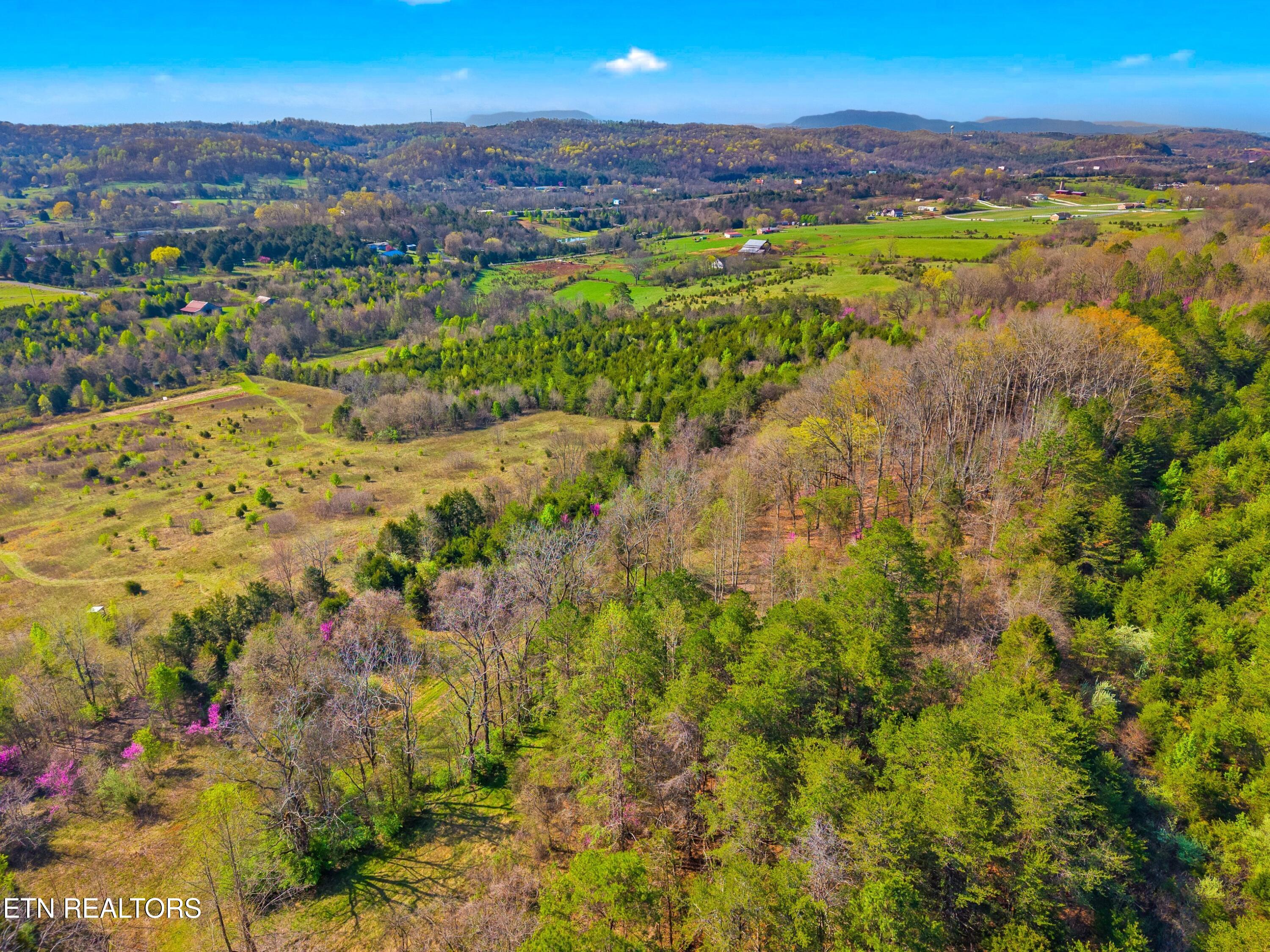 1 West Dumplin Valley Road New Market, TN 37820 - Photo 8 of 25 010-DUMPLINVALLEYR