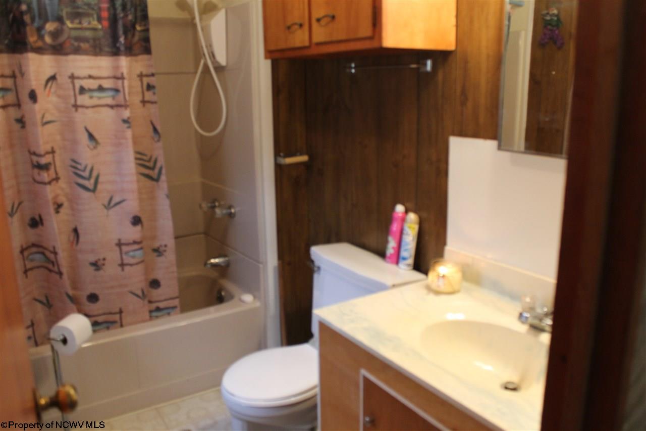 759 Horseshoe Run Road Parsons, WV 26287 - Photo 10 of 19 Gallery Image 10