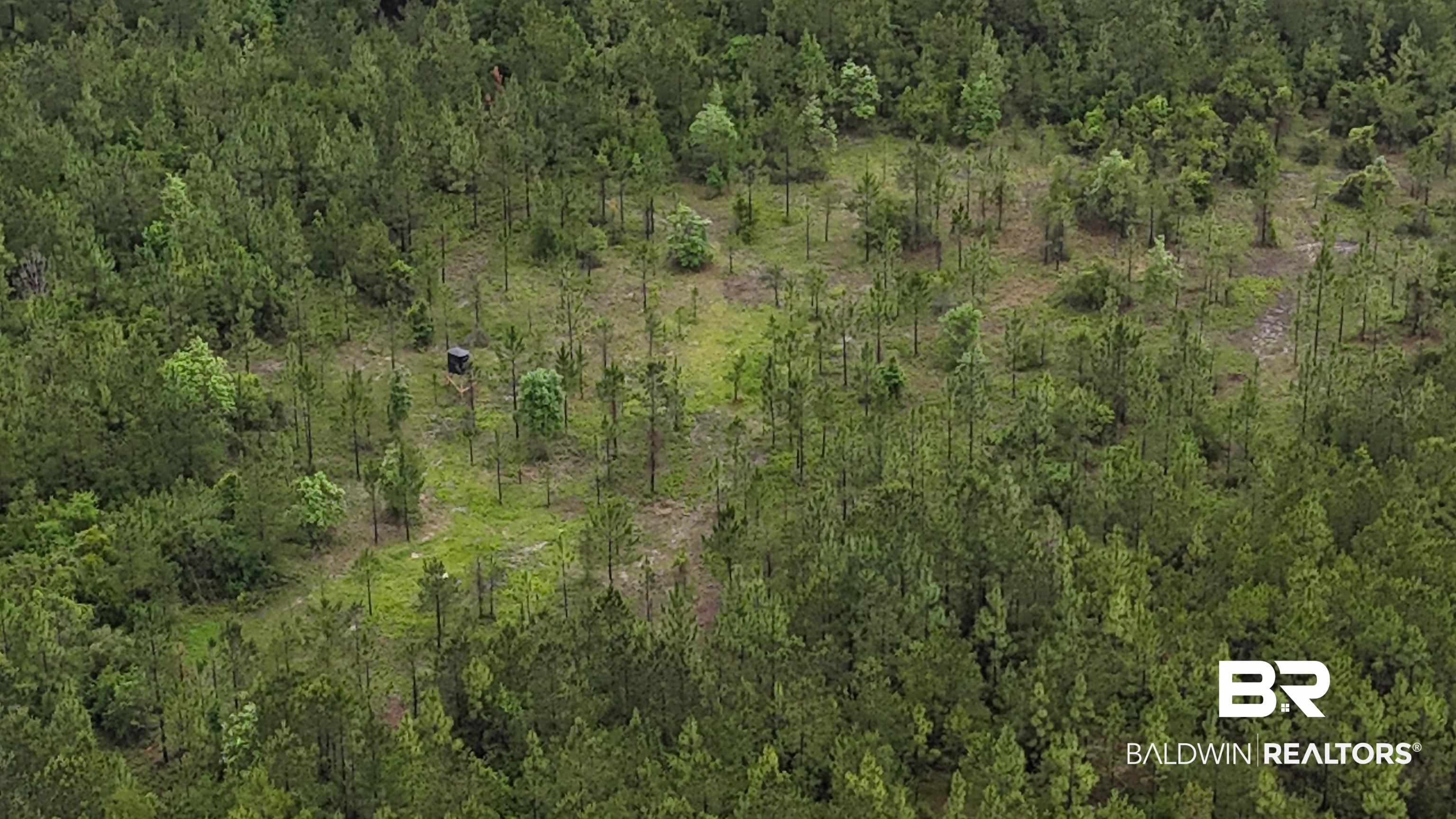 Lot 4-5 Lonnie Hadley Road Perdido, AL 36562 - Photo 7 of 9