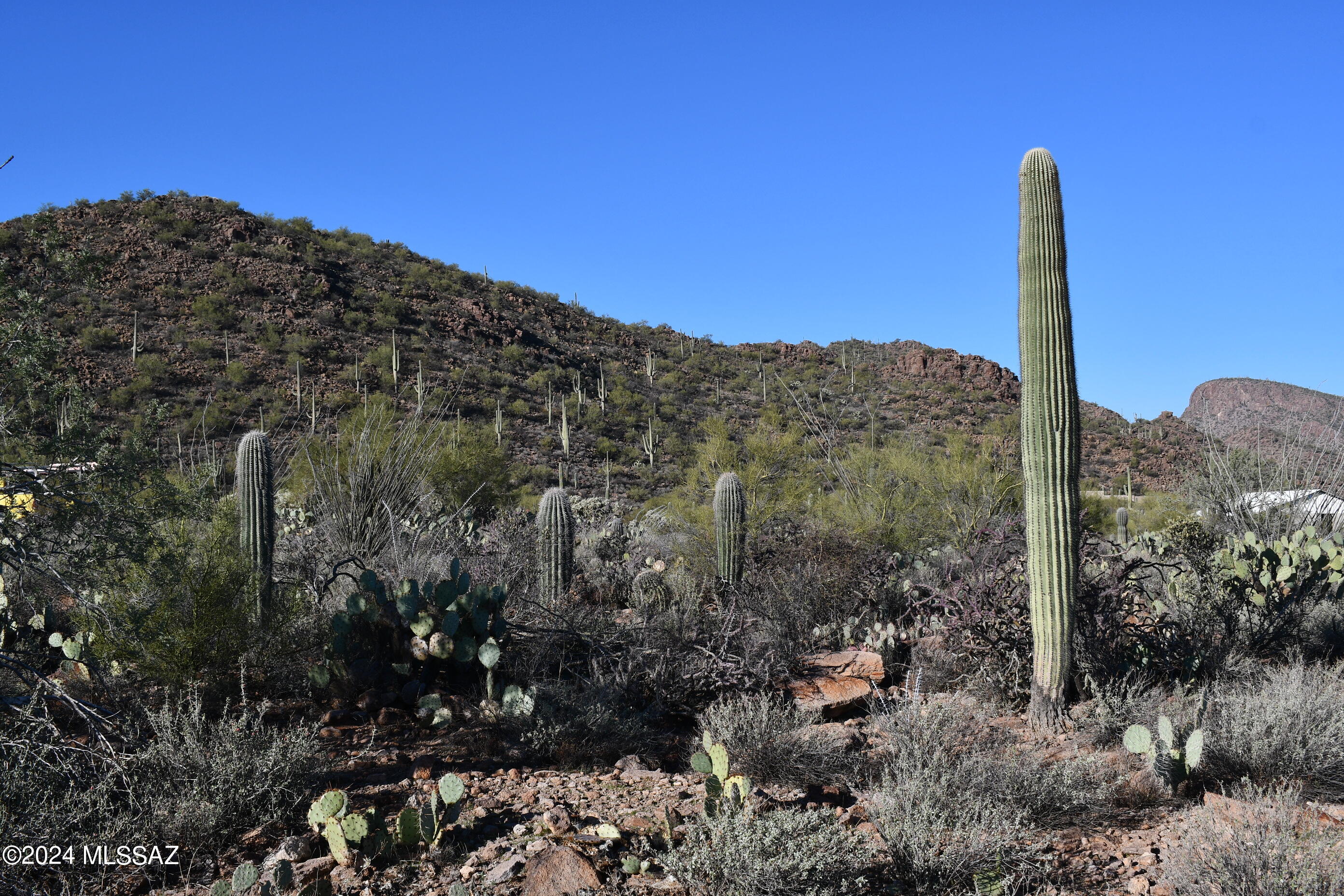 6396 North Yuma Mine Road Tucson, AZ 85743 - Photo 25 of 49 Gallery Image 25