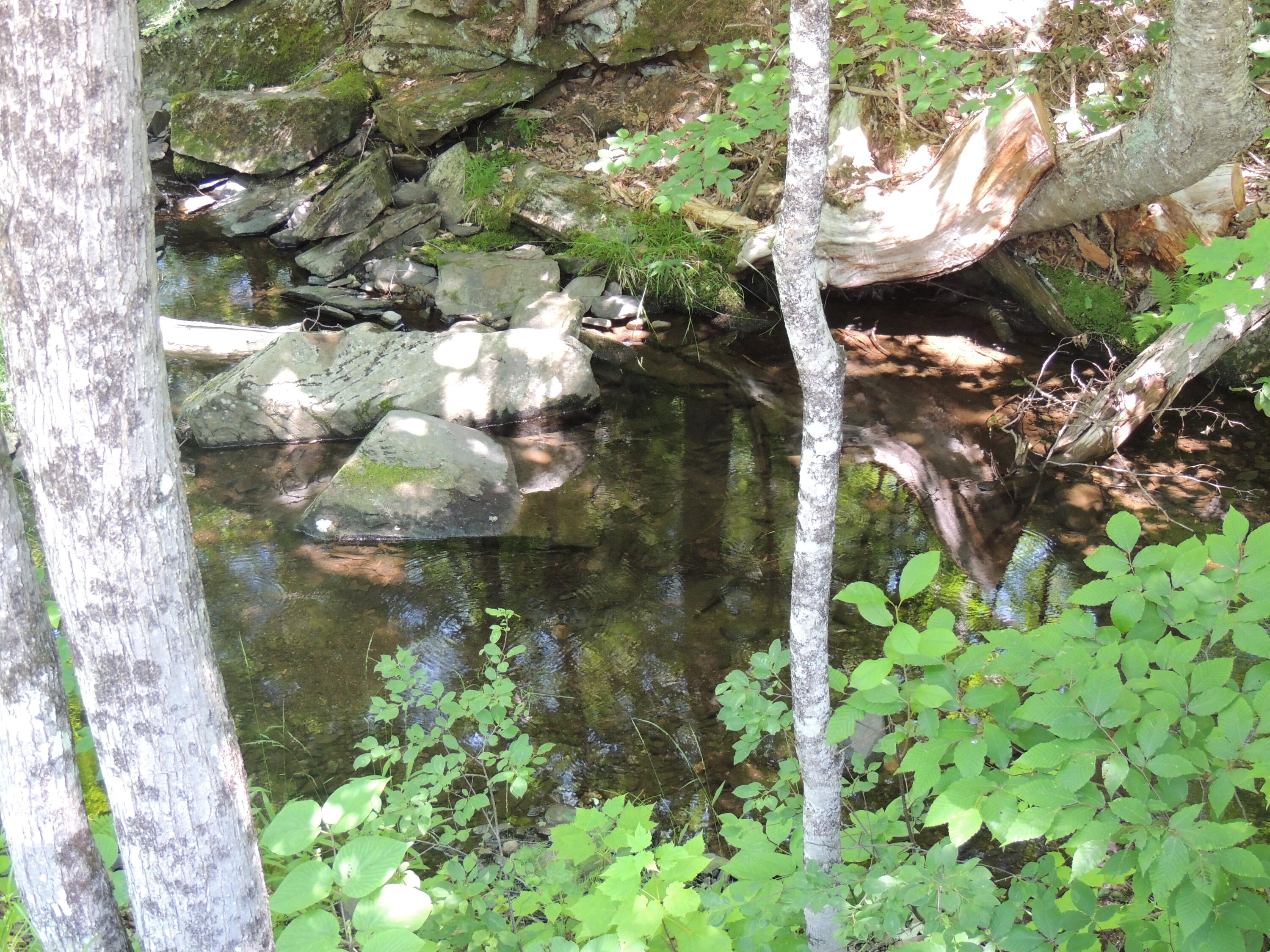 70 County Road Anson, ME 04911 - Photo 25 of 25 DSCN2192