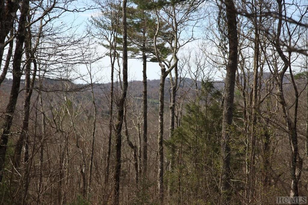 Tbd Cowee Ridge Road Highlands, NC 28741 - Photo 2 of 11 Gallery Image 2