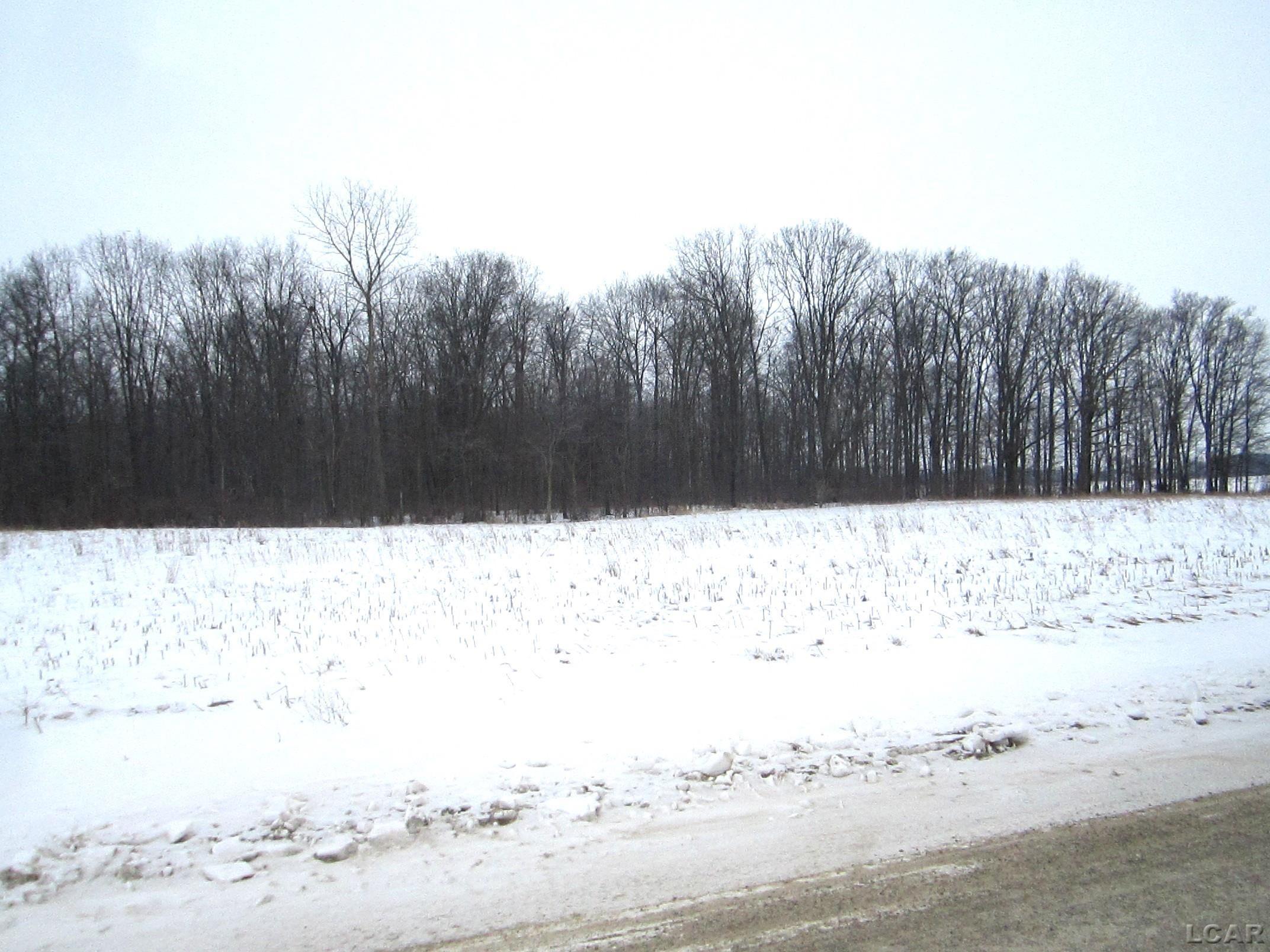 Lee Road Road Waldron, MI 49288 - Photo 3 of 5