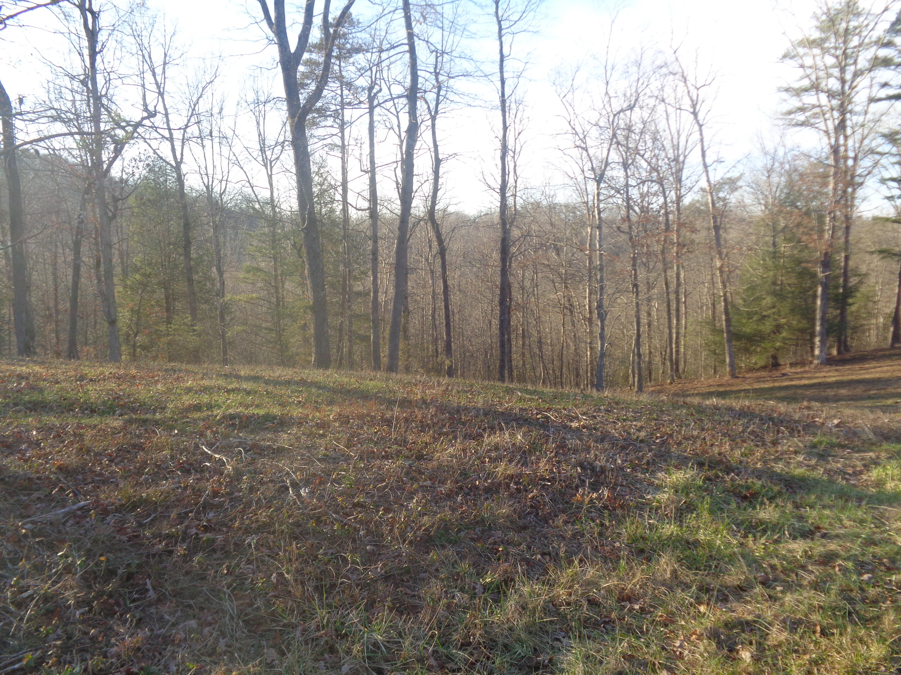 Lot 3 Fount Hubbard Road London, KY 40741 - Photo 7 of 25 DSC07472