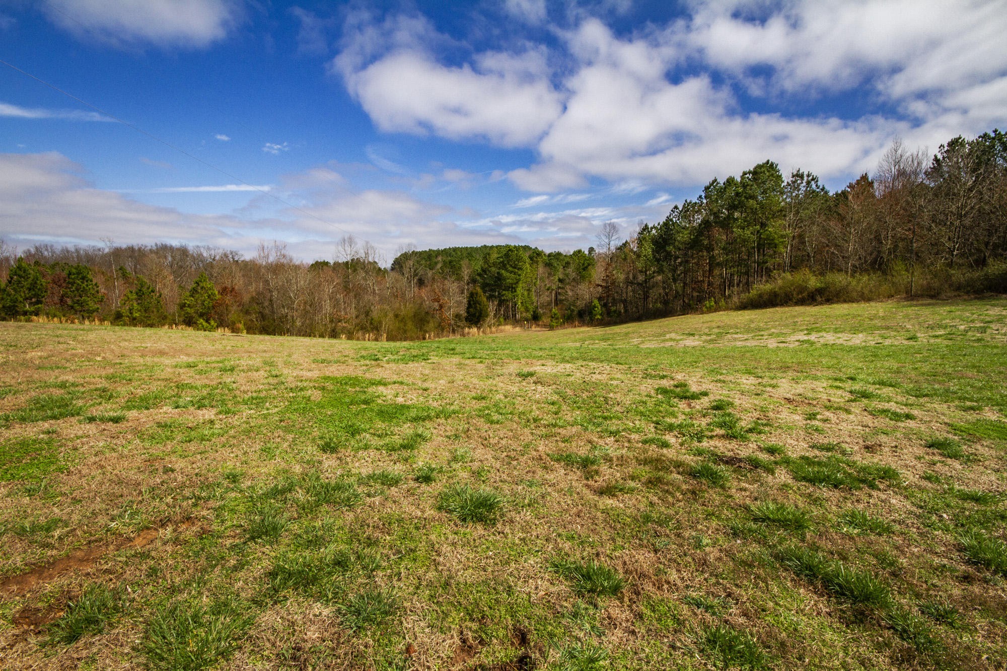 7480 Dry Valley Road Loudon, TN 37774 - Photo 26 of 27 a view of an ocean