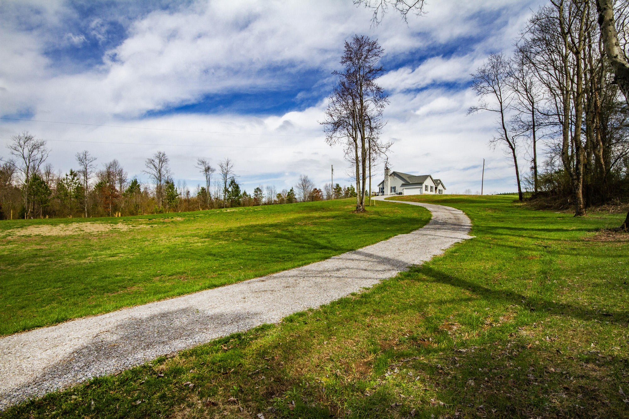 7480 Dry Valley Road Loudon, TN 37774 - Photo 3 of 27 a view of a park with big trees