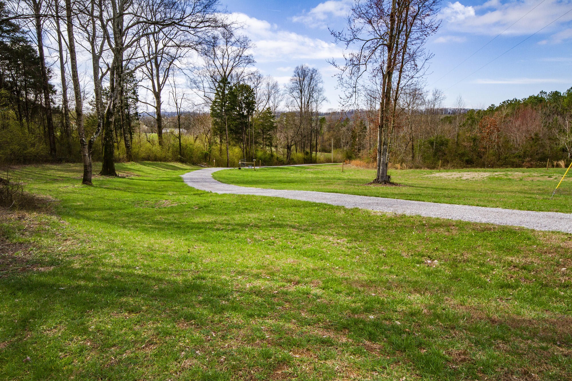 7480 Dry Valley Road Loudon, TN 37774 - Photo 4 of 27 a view of field with tall trees