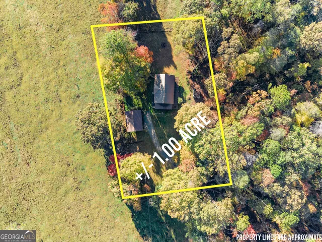 $325,000 | 1688 Ben Jones Road, Clarkesville, GA 30523