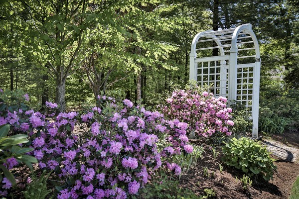113 Kettle Hole Road Bolton, MA 01740 - Photo 30 of 30 a picture of flowers and building