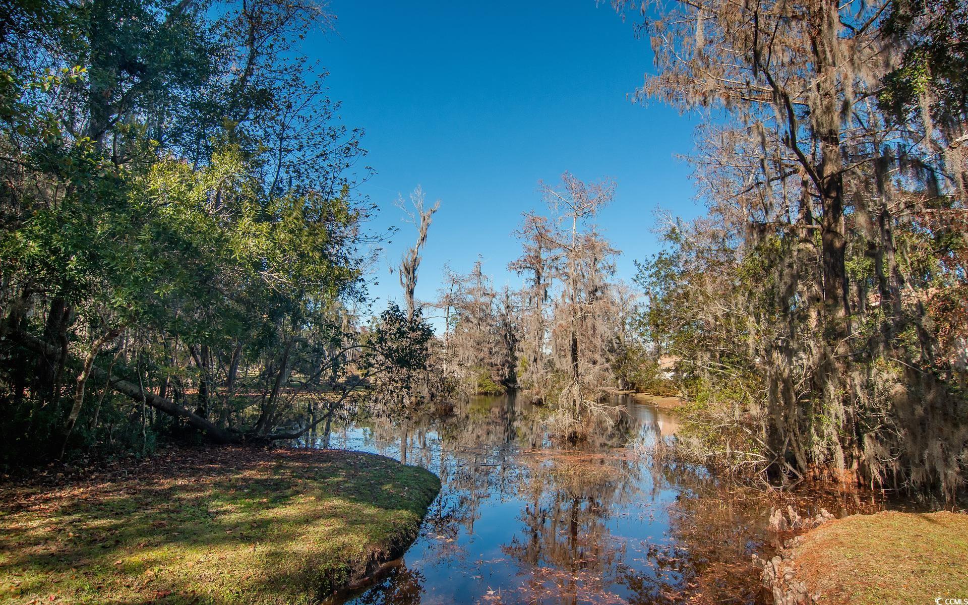 27 Pheasant Loop, Unit 293 Georgetown, SC 29440 - Photo 4 of 23 Water view featuring a forest