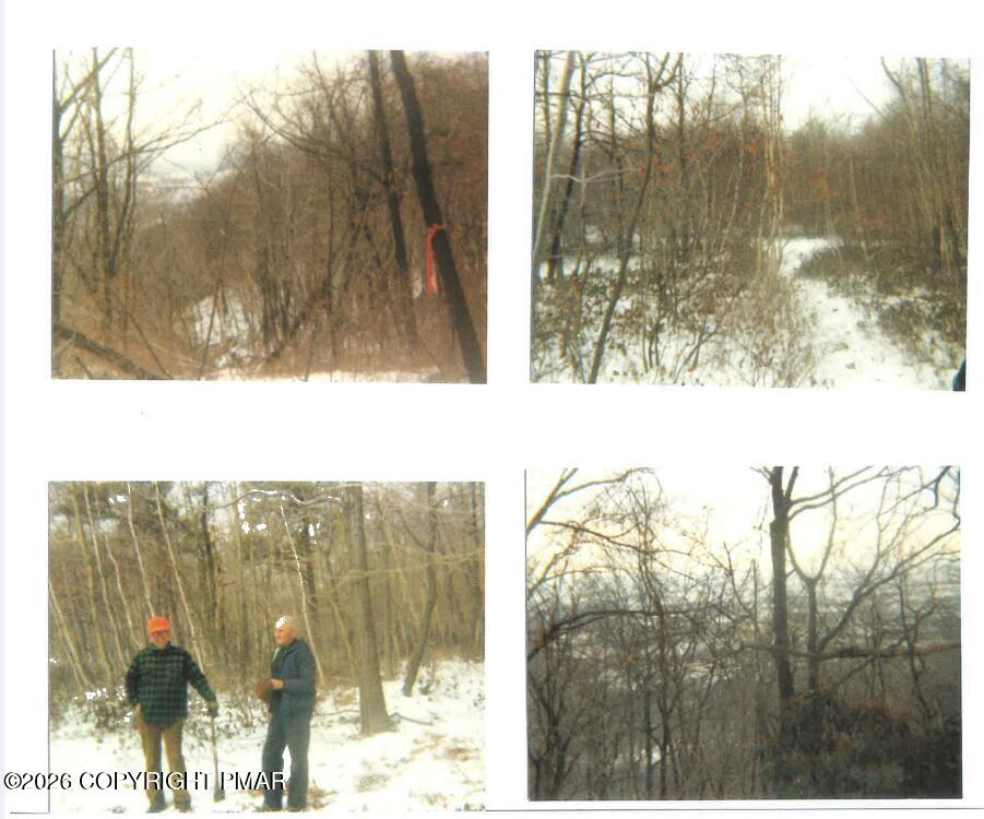 0 South Main Street Bangor, PA 18013 - Photo 12 of 12 a view of a window