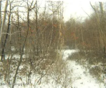 a view of covered with snow