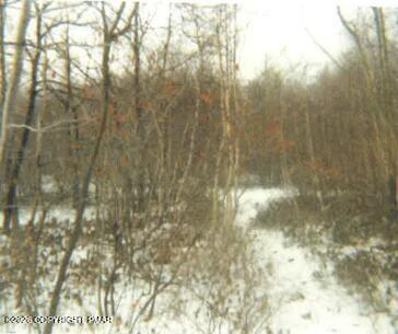 0 South Main Street Bangor, PA 18013 - Photo 4 of 12 a bathroom with a bathtub
