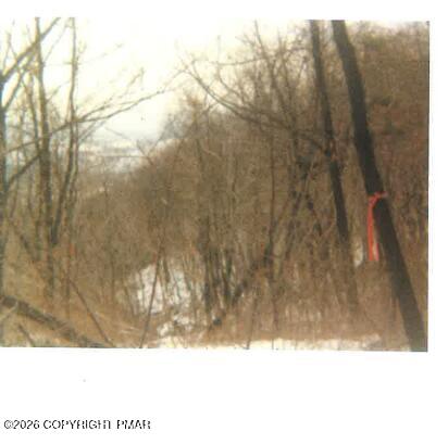 0 South Main Street Bangor, PA 18013 - Photo 6 of 12 a view of a yard