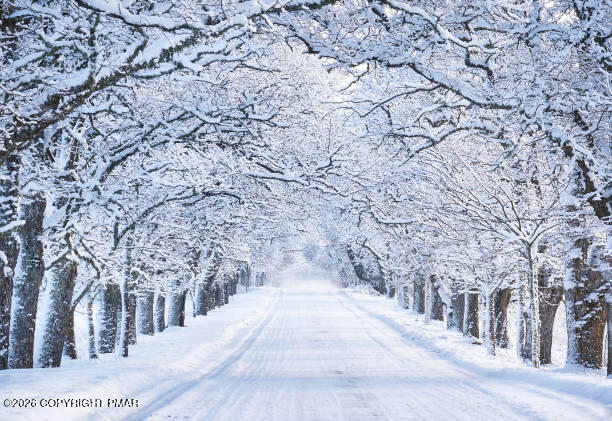 0 South Main Street Bangor, PA 18013 - Photo 9 of 12 a view of road with trees