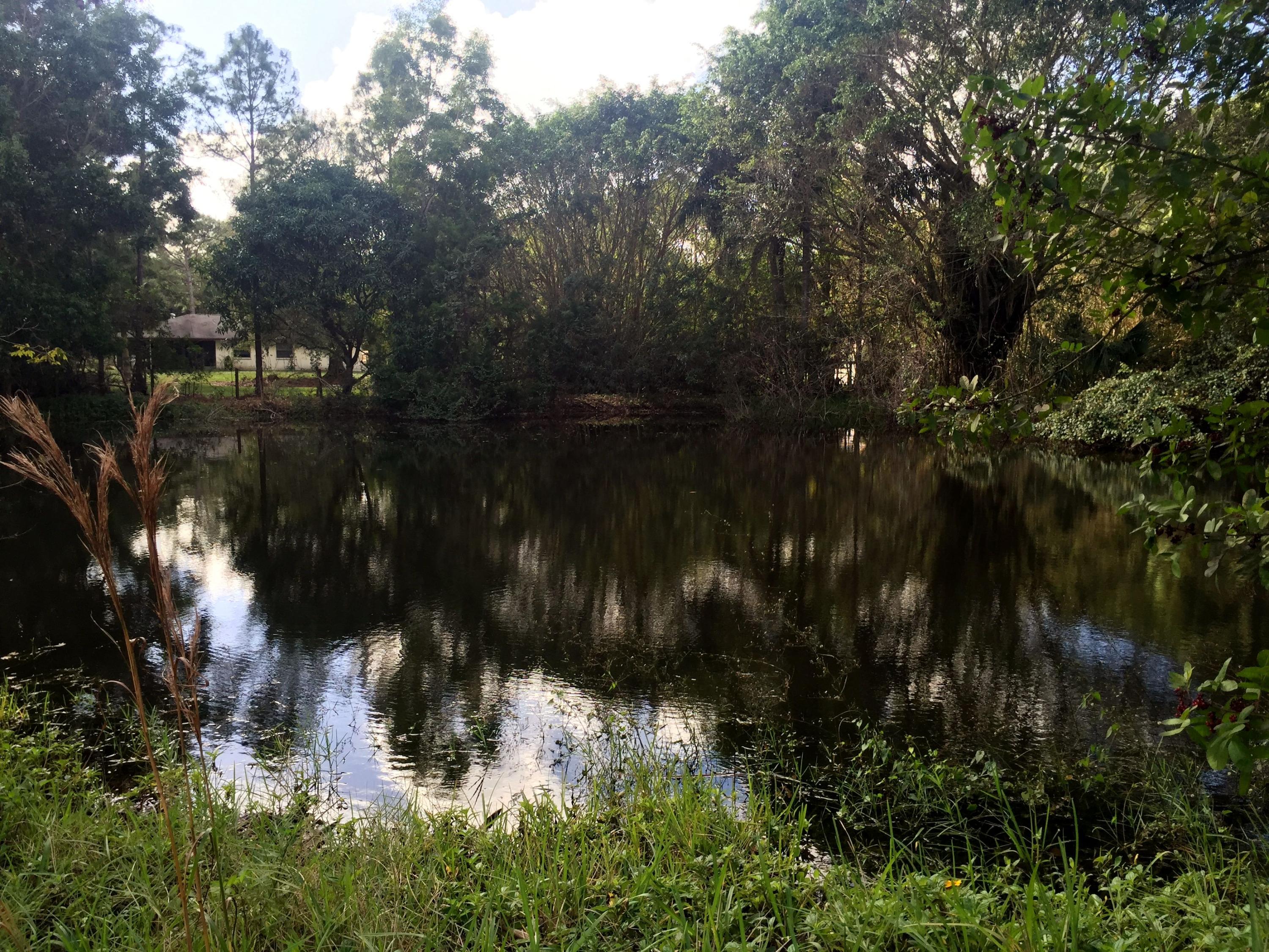 11150 154th Road North Jupiter, FL 33478 - Photo 33 of 52 Pond 4