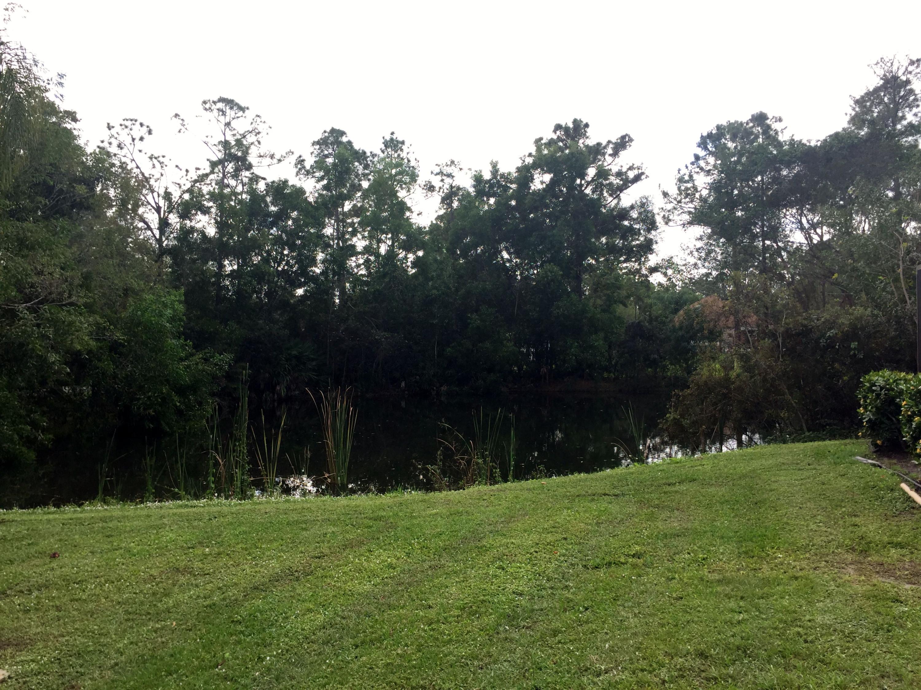11150 154th Road North Jupiter, FL 33478 - Photo 36 of 52 Pond 9