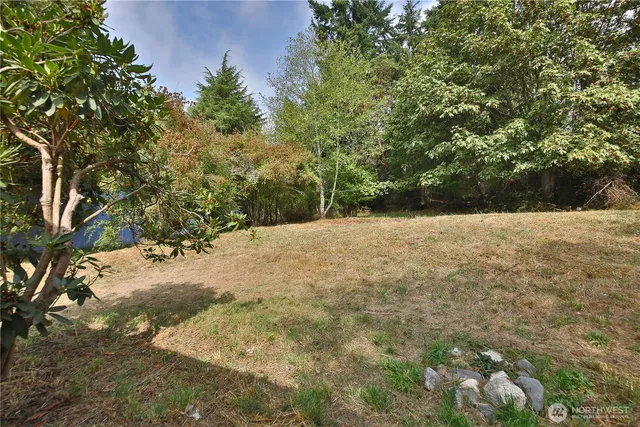 a view of a yard with trees