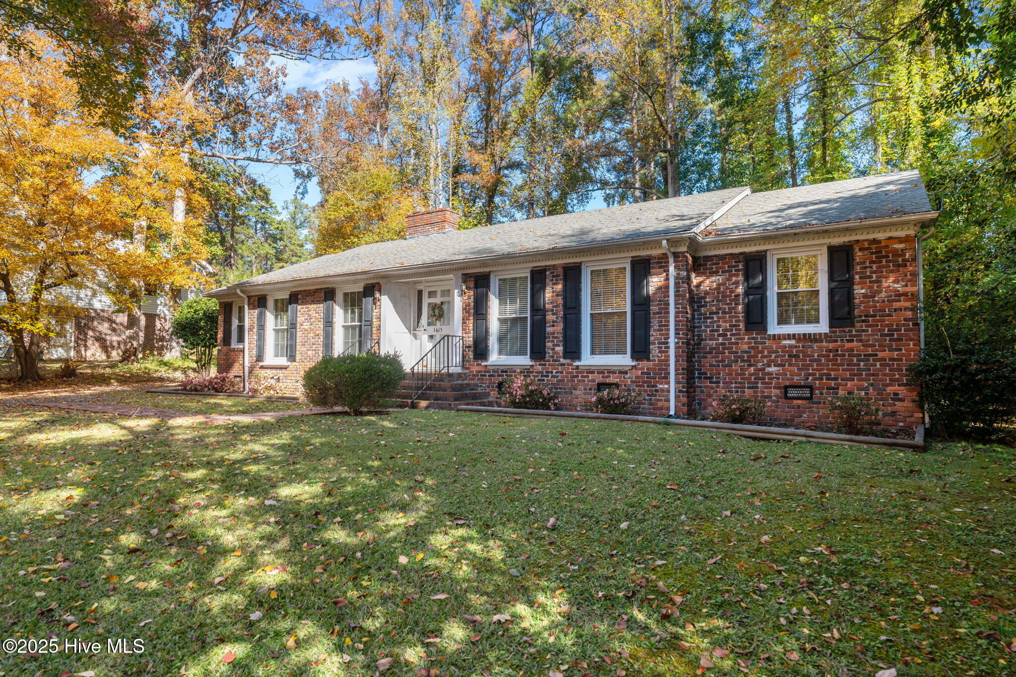 1615 Plum Nelly Road Rockingham, NC 28379 - Photo 42 of 51 4-web-or-mls-DSC01081