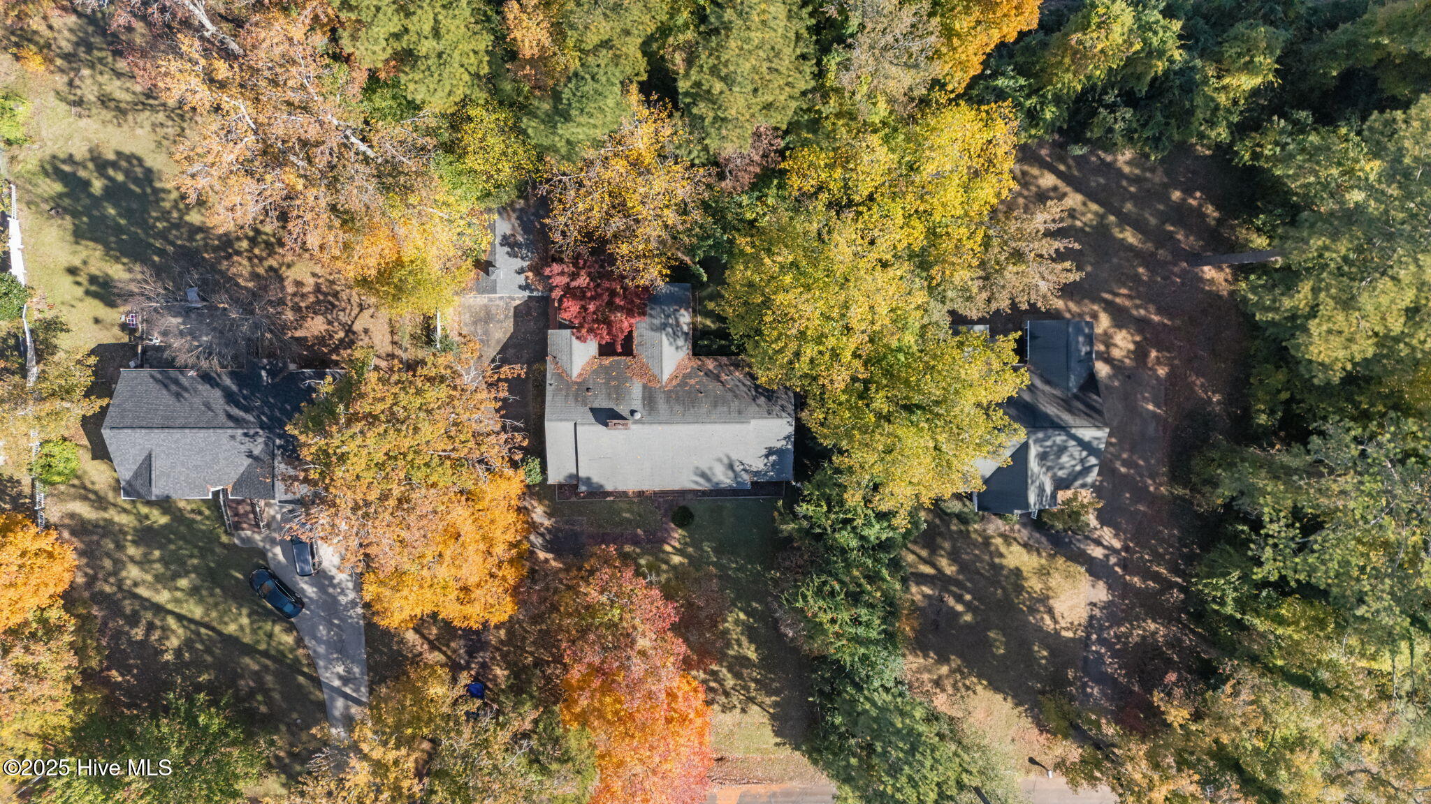 1615 Plum Nelly Road Rockingham, NC 28379 - Photo 48 of 51 50-web-or-mls-DJI_20231205114751_0400_D
