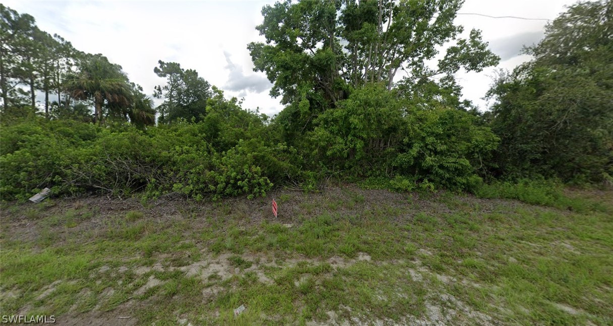 6028 Stratton Road Fort Myers, FL 33905 - Photo 2 of 2 a view of a forest with trees in the background
