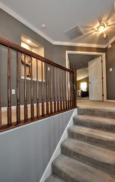 103 Brave Run Road Canonsburg, PA 15317 - Photo 18 of 25 Gallery Image 18
