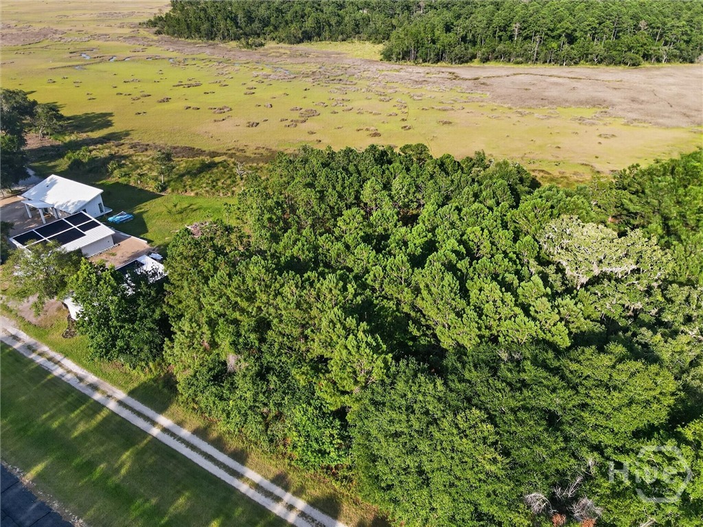 Lot #23 Barnstorm Road Northeast Townsend, GA 31331 - Photo 3 of 7