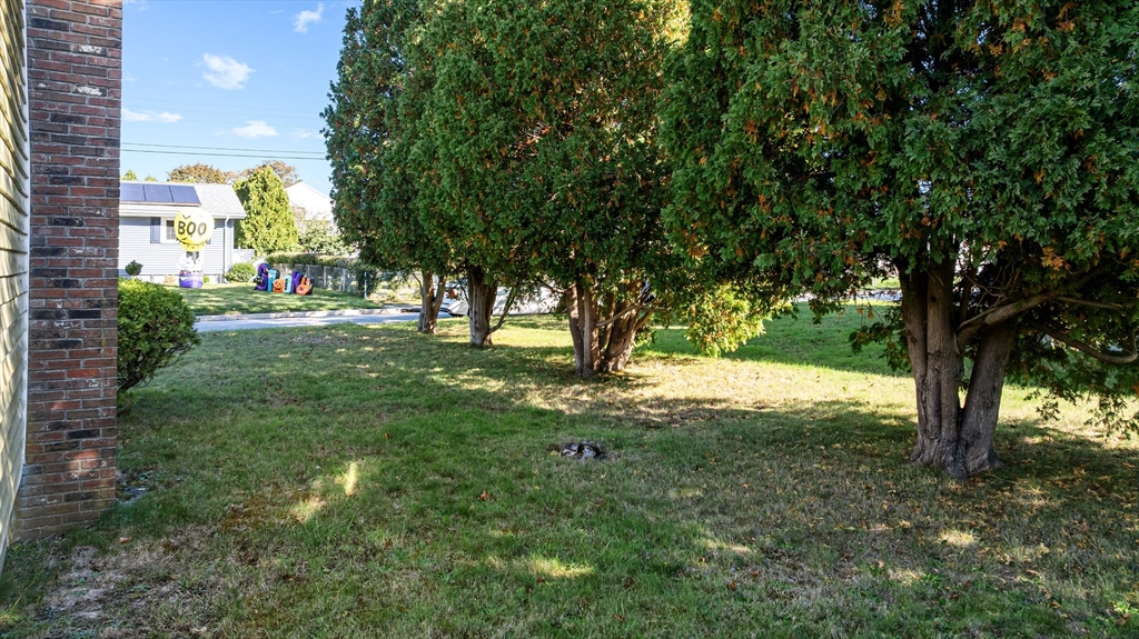 71 Harding Road Fairhaven, MA 02719 - Photo 5 of 28 a view of a yard with plants and trees