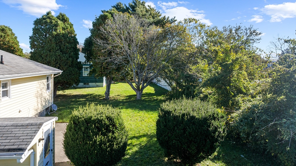 71 Harding Road Fairhaven, MA 02719 - Photo 8 of 28 a view of a garden with plants and large trees