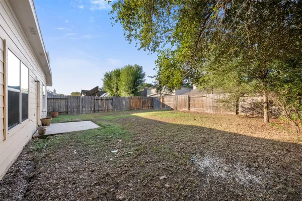 a view of backyard with tree
