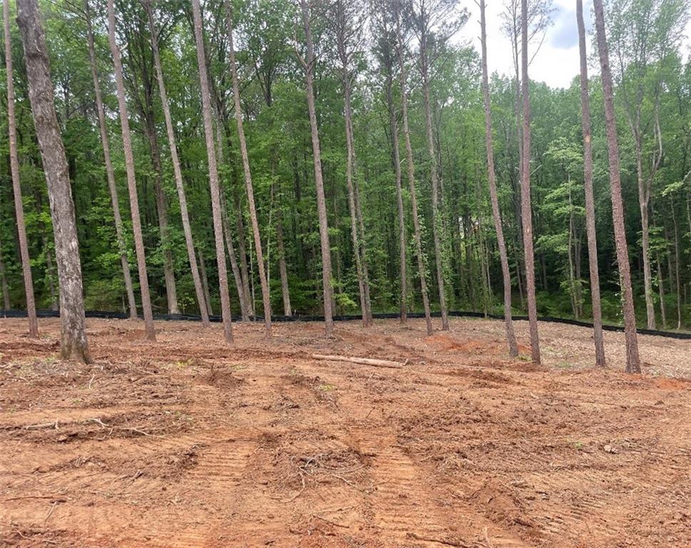 503 Rutledge Lane Canton, GA 30114 - Photo 1 of 1 a view of a backyard with trees